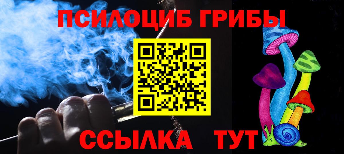 Гусев  Псилоцибиновые грибы прущие грибы  как найти закладки  Вход с VPN  Галлюциногенные грибы Magic Shrooms 